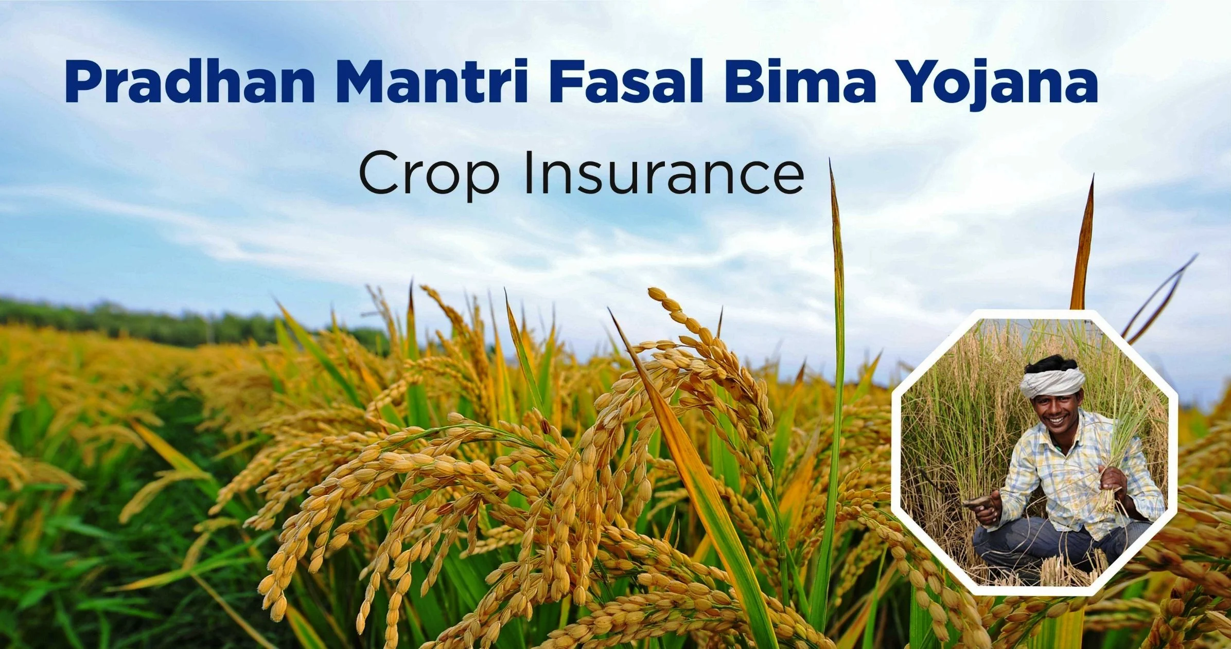 The Necessity of Crop Insurance: Insights from the Agricultural Director!