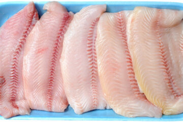 Freezing Fish Foods!