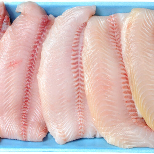 Freezing Fish Foods!