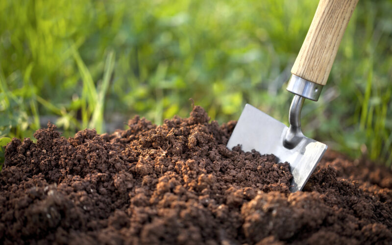 Methods to Enrich Soil!