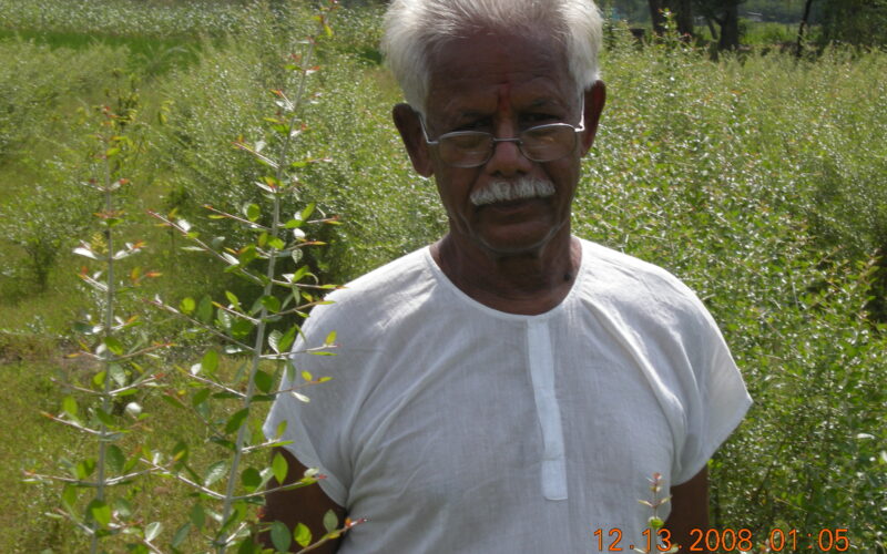 Henna as a Suitable Crop for Rainfed Farming!