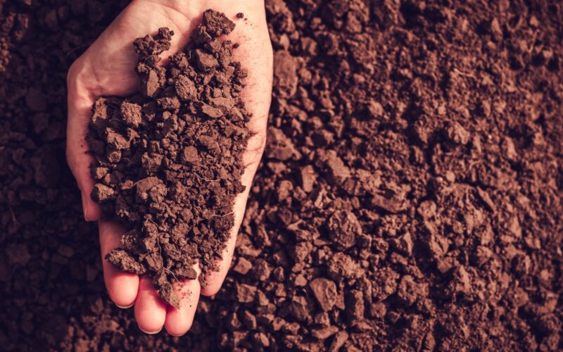 soil shutterstock funnyangel