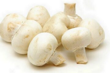 Mushrooms: A Nutritious Food!