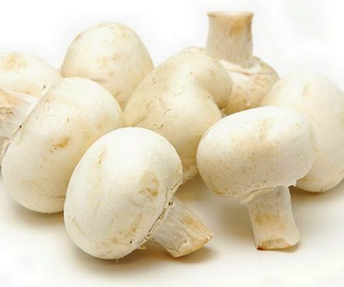 Mushrooms: A Nutritious Food!