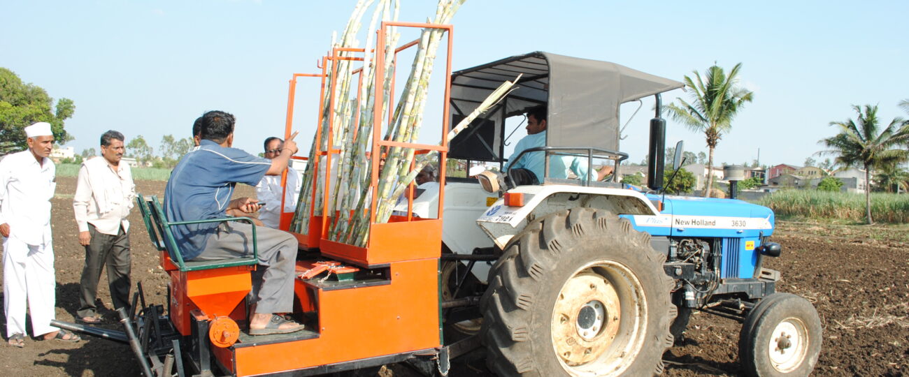 Mechanized Sugarcane Cultivation!