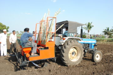 Mechanized Sugarcane Cultivation!